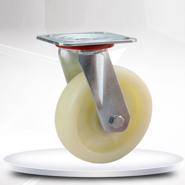 6寸非（fēi）標白尼